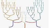Thumbnail image for publication titled: CerebroVis: Topology and constraint-based network layout for the visualization of cerebrovascular arteries